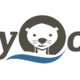 Savvy Otter